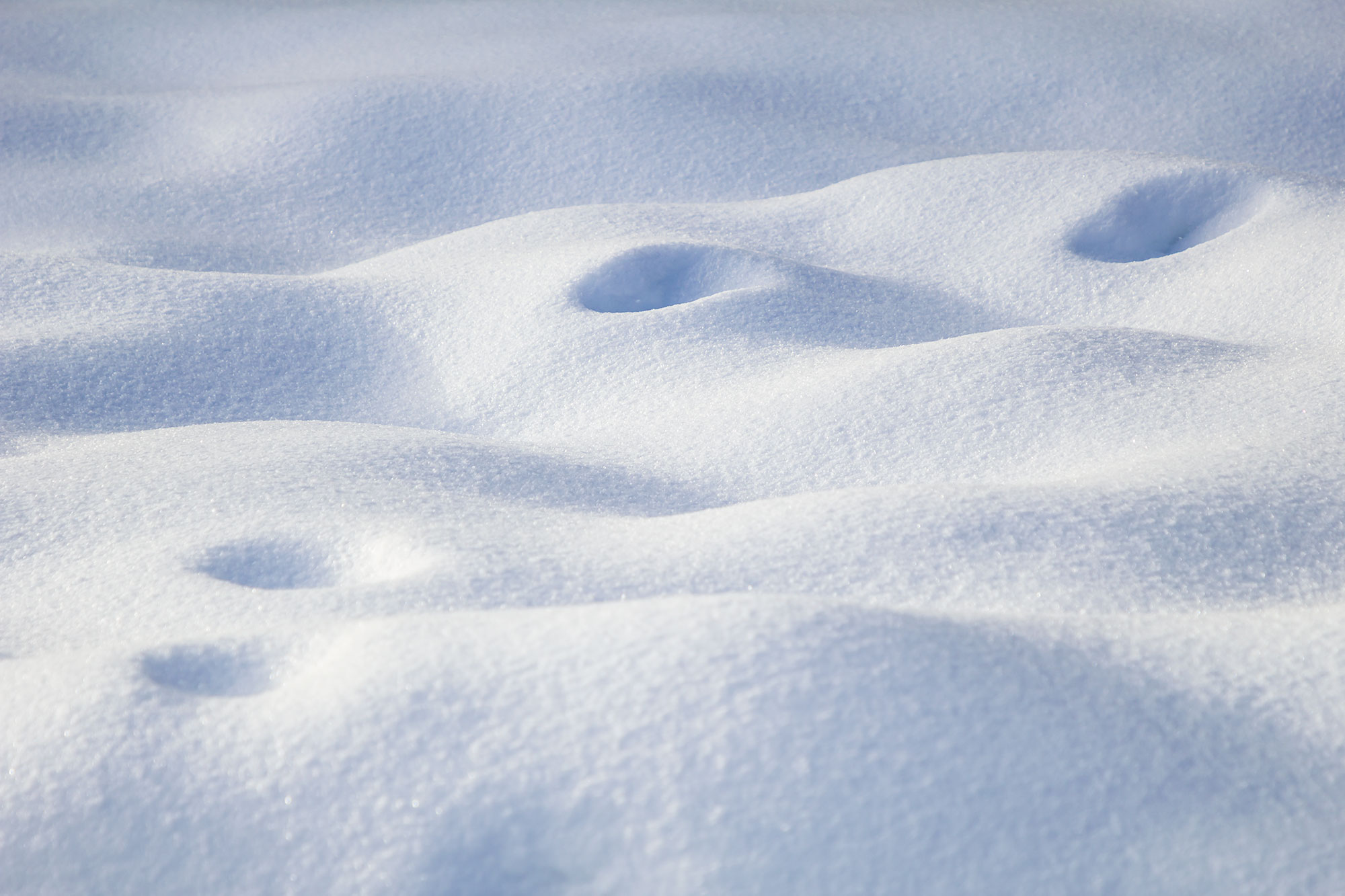 Snow by Marili Clark Photographer.