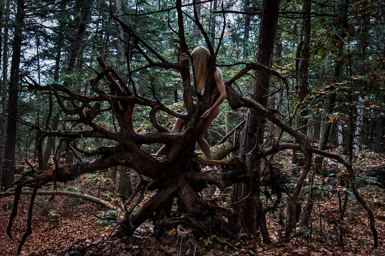 Le Repos de la Guerrière - Spiderwoman - Woman entwined in the exposed roots of a large fallen tree.